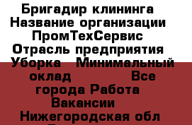 Бригадир клининга › Название организации ­ ПромТехСервис › Отрасль предприятия ­ Уборка › Минимальный оклад ­ 30 000 - Все города Работа » Вакансии   . Нижегородская обл.,Дзержинск г.